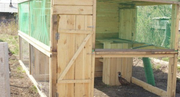 Jak si sami postavit bažantí výběh? Pokyny a doporučení krok za krokem